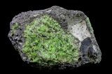 Peridot in Basalt - Arizona #154394-1